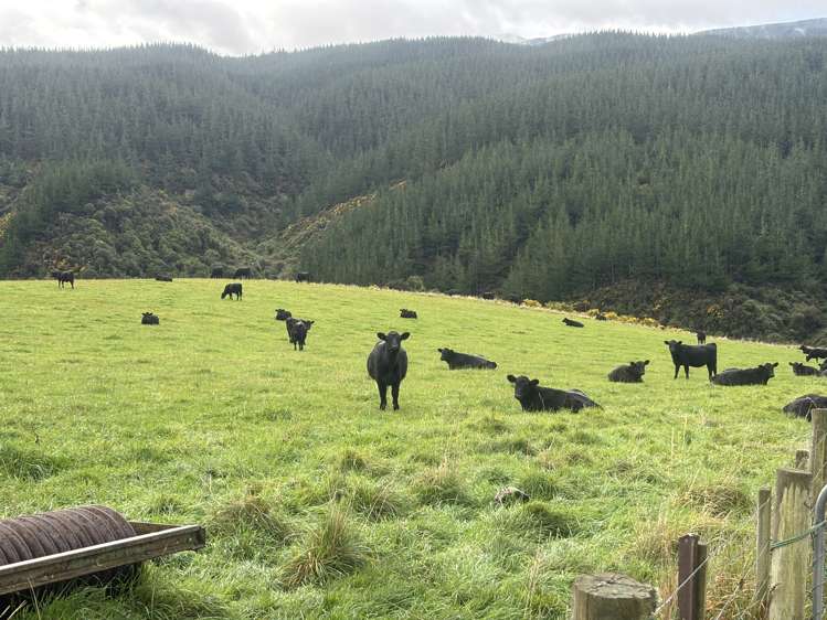 158 Kowhatu Road Waimate_6