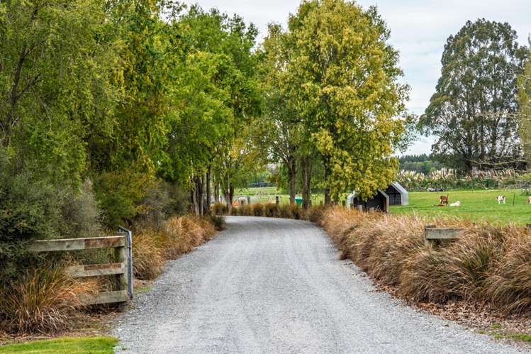 111 Beeby Road, Orari Geraldine_4