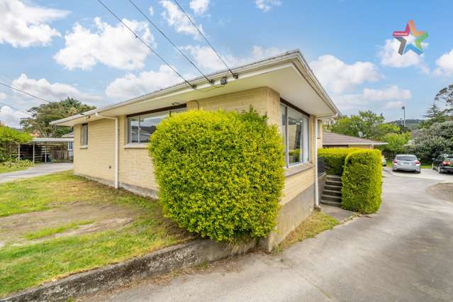 11a Foster Street Taita_1