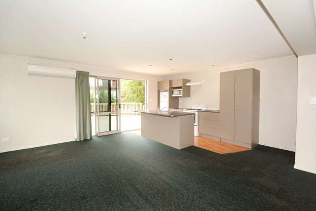 45d Lees Street Dunedin Central_3