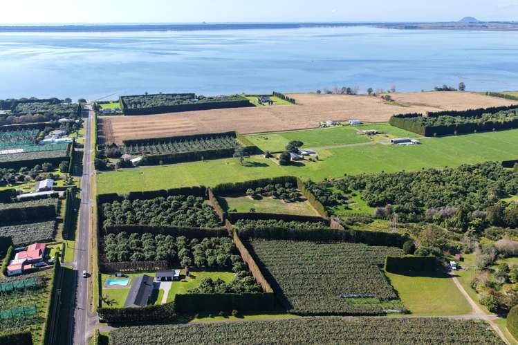 244 Beach Road Katikati_10
