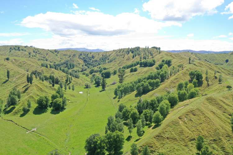 174 Clydebank Road Wairoa_11