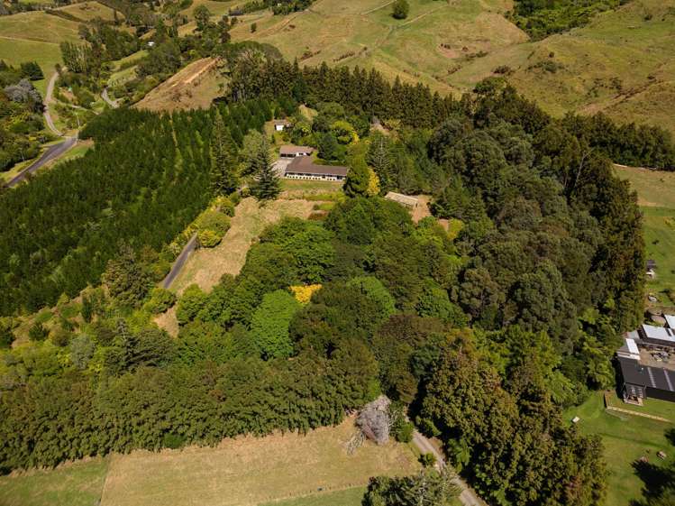 236 Willoughby Road Tahawai_6