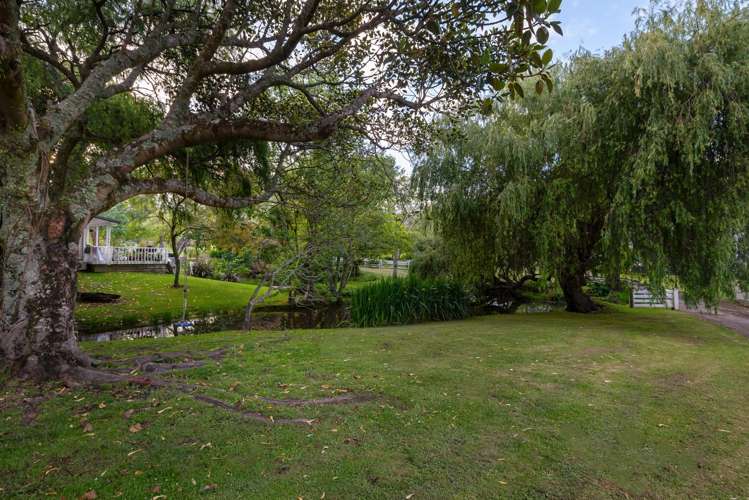 435 Pine Valley Road Dairy Flat_41