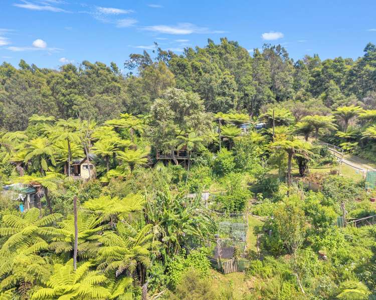 Ohiwa Loop Road Waiotahi_11