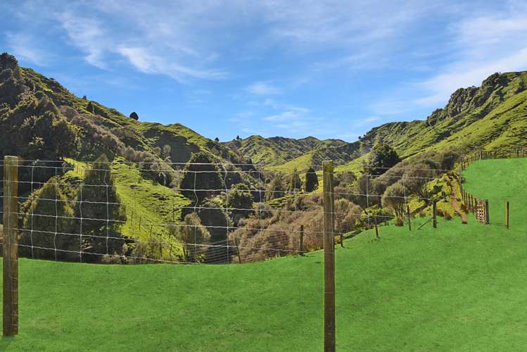 993 Upper Retaruke Road Ruapehu-King Country Surrounds_16