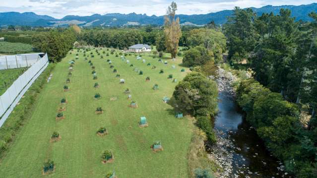 72 Rea Road Katikati_1