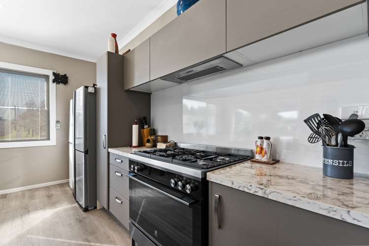 150 Brooklands Road Vogeltown_7