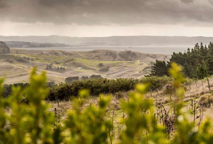 1539a Kaipara Coast Highway Kaukapakapa_14