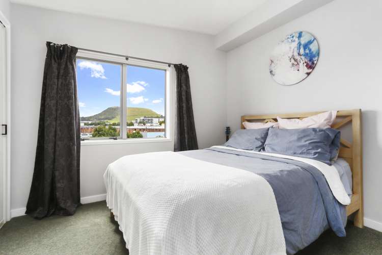17i Domain Road Panmure_7