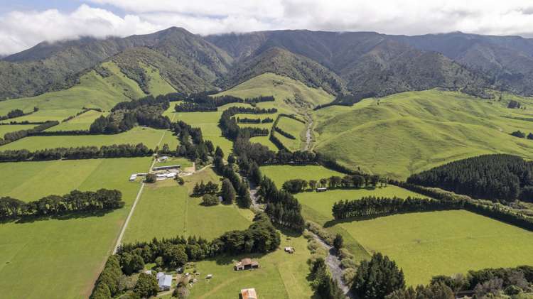 189 Thorburn Road Dannevirke_19