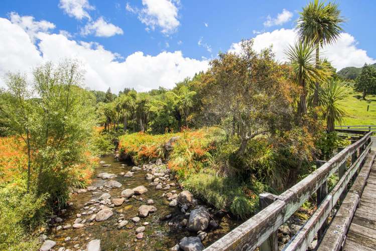 383A Busby Road Katikati_8