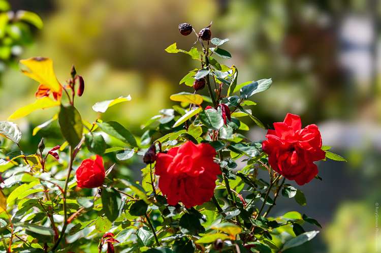 5 Zephyr Terrace Governors Bay_27