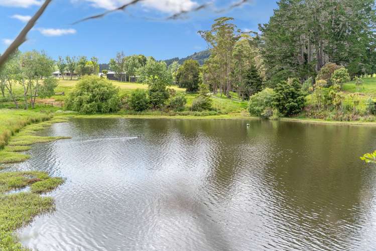 100E Hodge Road Ruatangata West_20