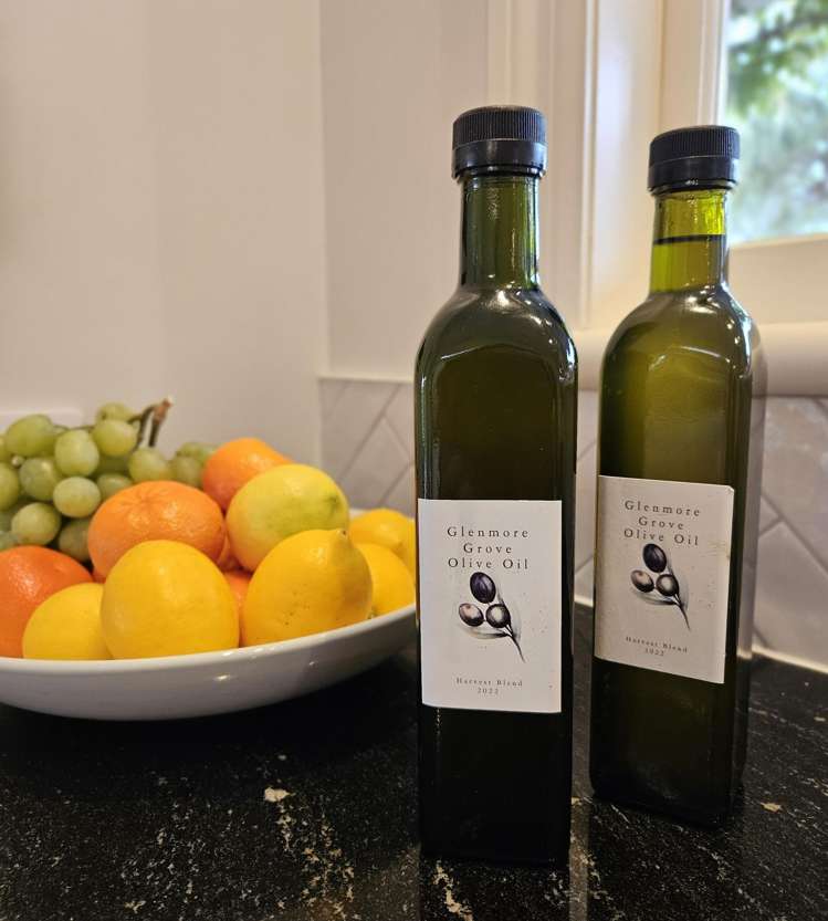 214 Glenmore Road Coatesville_10