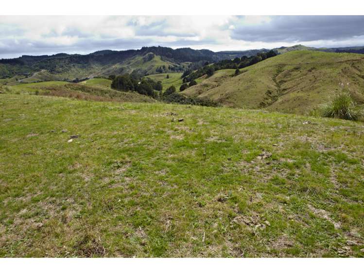 47 Haul Road Tahekeroa_2