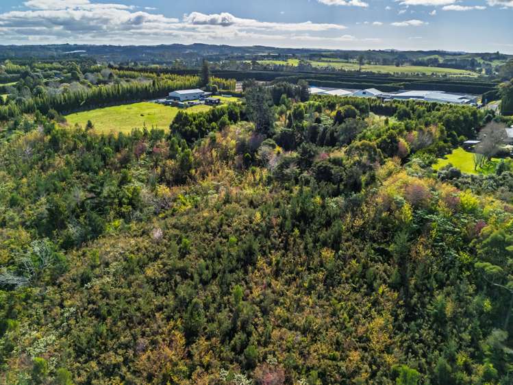 Lot 1/332 Kapiro Road Kerikeri_11