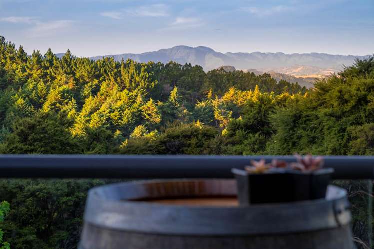 397 Cowan Bay Road Warkworth_61