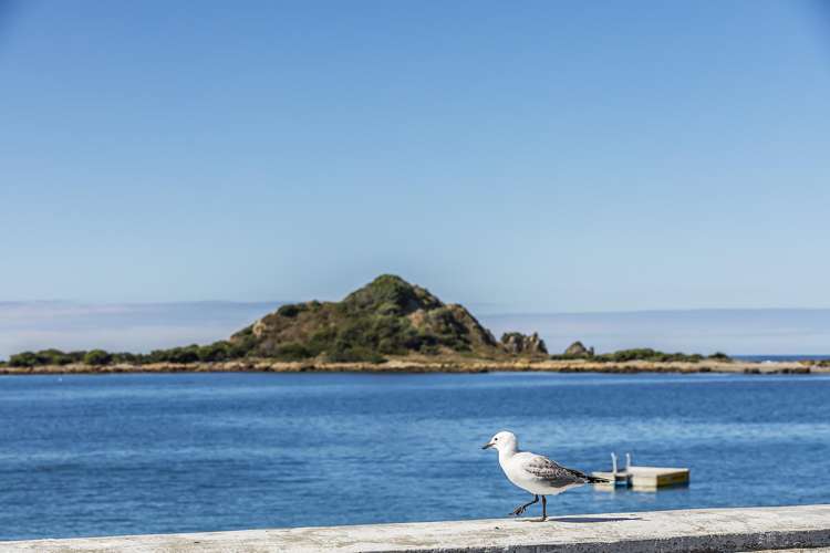 157 Derwent Street Island Bay_16