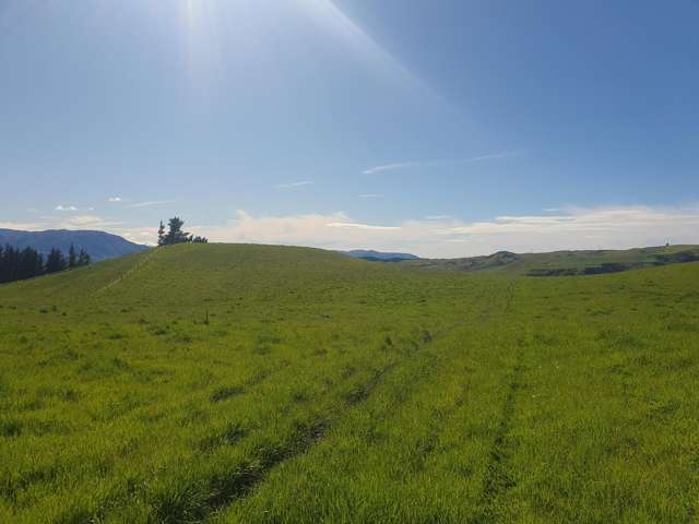 Lot 2 Cricklewood Rise Grants Road Kurow_3