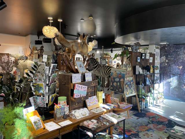 8 Church Street Queenstown_4