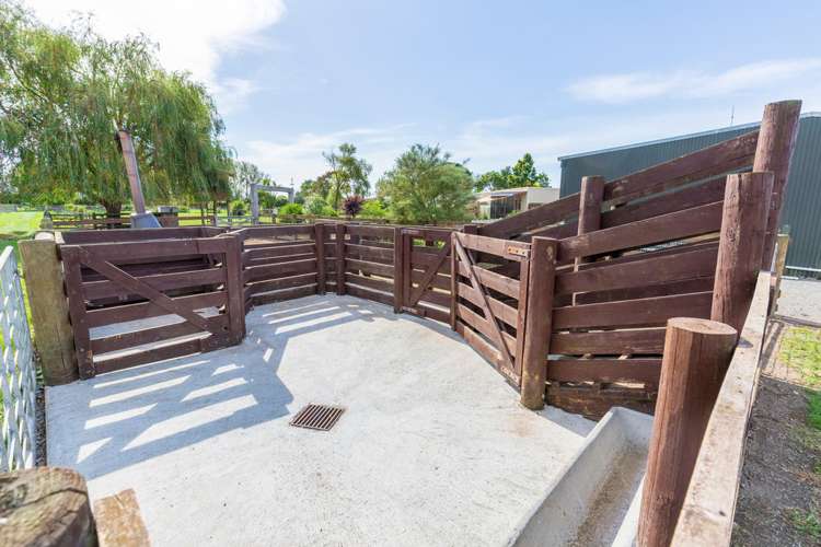 3 Front Miranda Road Waitakaruru_15