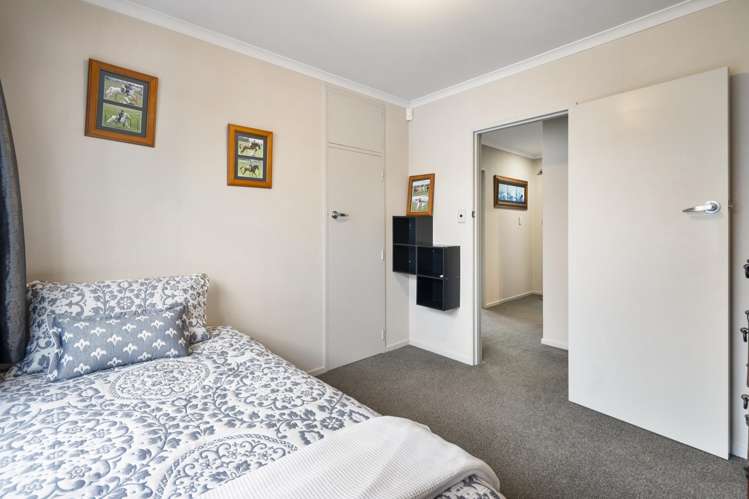 45 Maxwells Line Awapuni_13