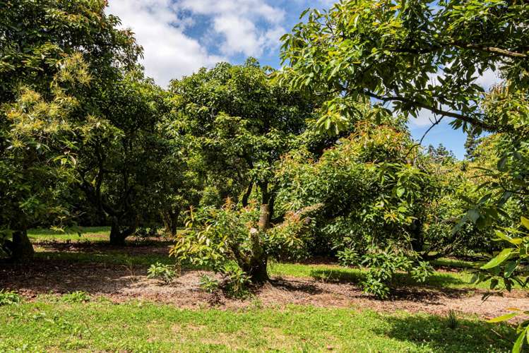 1700 State Highway 14 Maungatapere_20