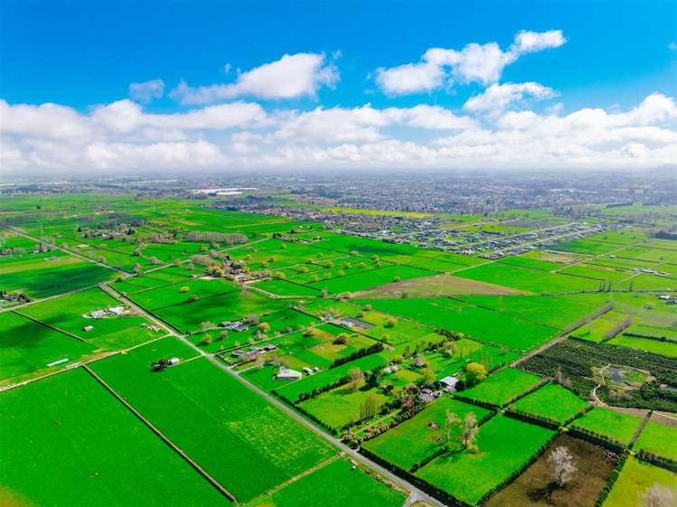 122 Rotoorangi Road Cambridge_27