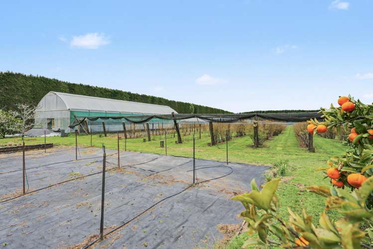 1040 Te Matai Road Te Puke_24