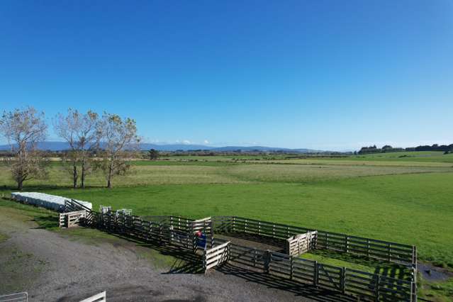 488 Thornbury Waimatuku Road Thornbury_1