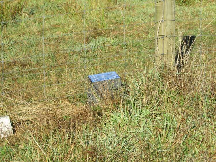 50 Clifford Street Blackball_5