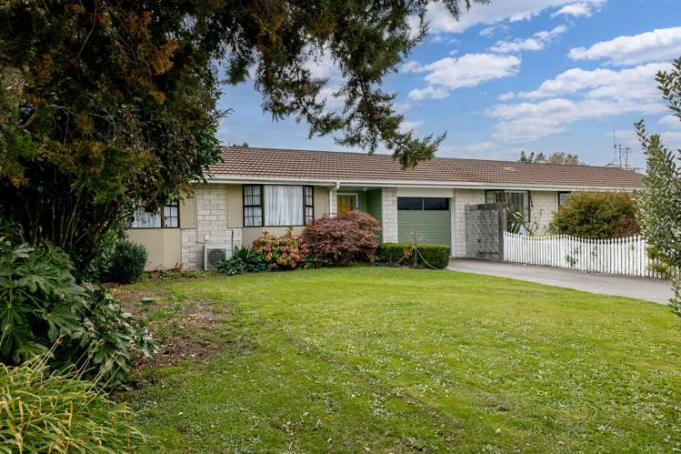 36 Criterion Street Bulls_20