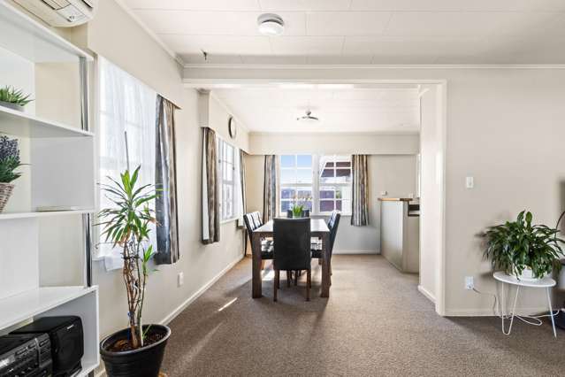 4 Plunket Street Tamatea_4