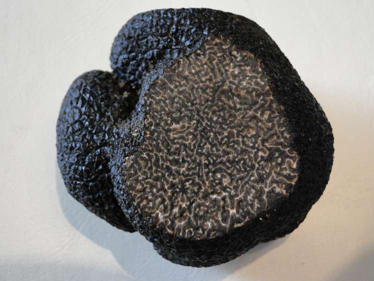 1420 Matapiro Road Crownthorpe_24