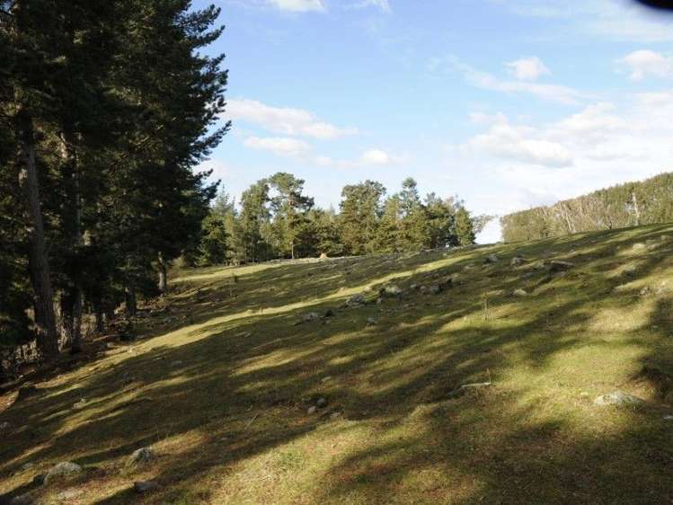 649 Kauru Hill Road Five Forks and Surrounds_57