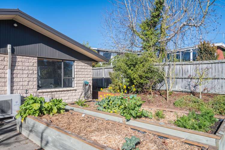 45 Kauri Street Highfield_25