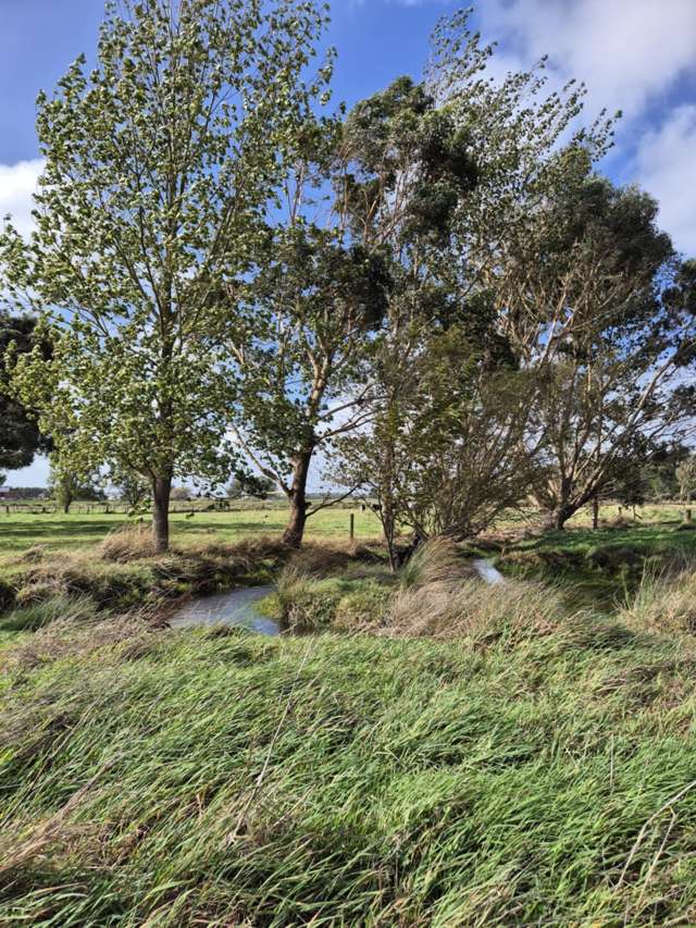 50b Painua Road Hokio Beach_4
