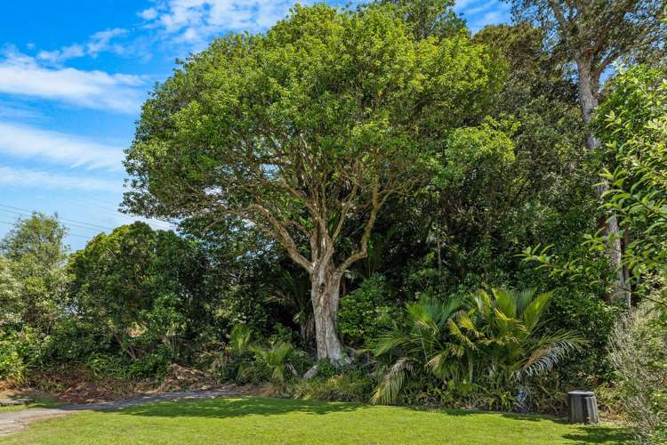 89 Clinton Road Tawharanui Peninsula_35