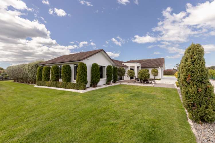 69 Royal Ascot Drive Papamoa_5