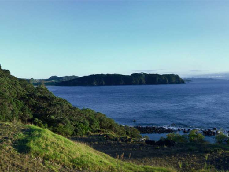 115 Radar Road Hot Water Beach_8