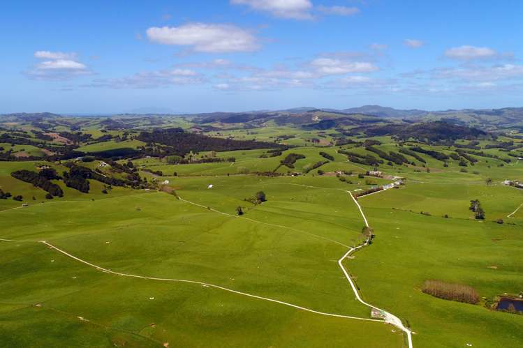 295 Waiteitei Road Wellsford_0