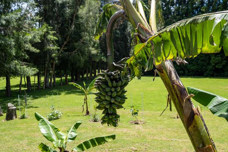 605 Takahue Road Takahue_24