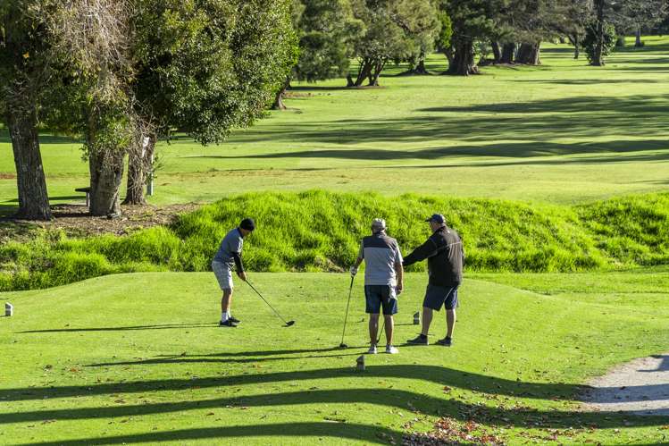 56a Wairoa Road Narrow Neck_24