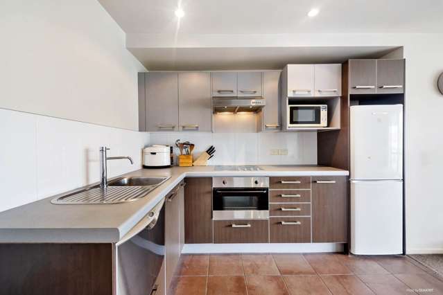 100c Michael Jones Drive Flat Bush_3