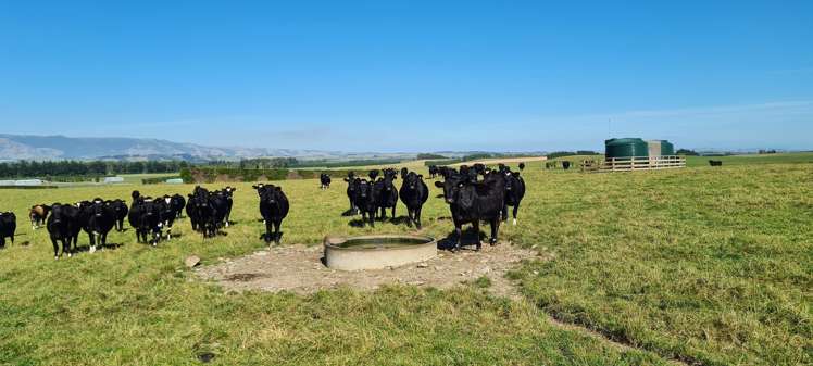 357 Middle Road Gore Surrounds_8