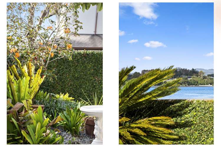 53a Maxwells Road Otumoetai_18