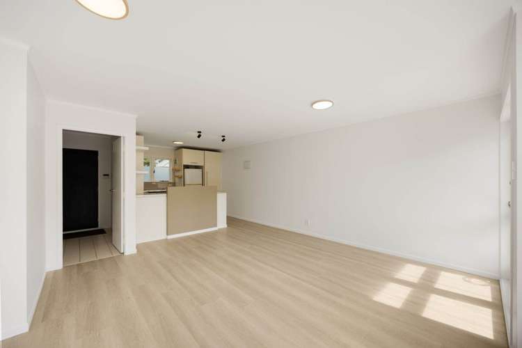 Hamilton Road Herne Bay_5