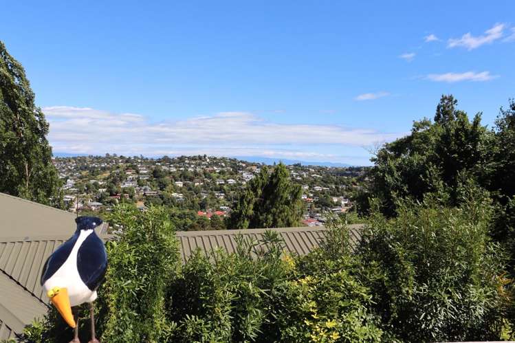 29 Allan St 10811_13