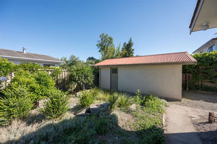 226 Nayland Road Stoke_16